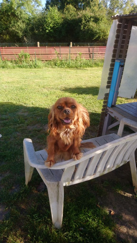 Pee -wee du val de la Ferrite