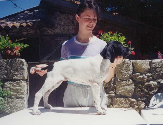 Publication : du Grand Marronier