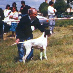 Publication : du Grand Marronier