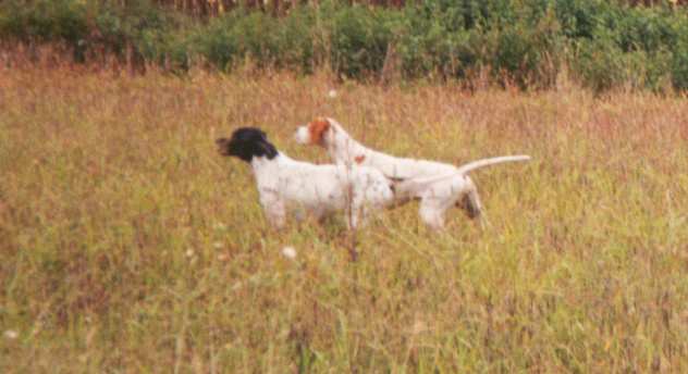 Publication : du Grand Marronier