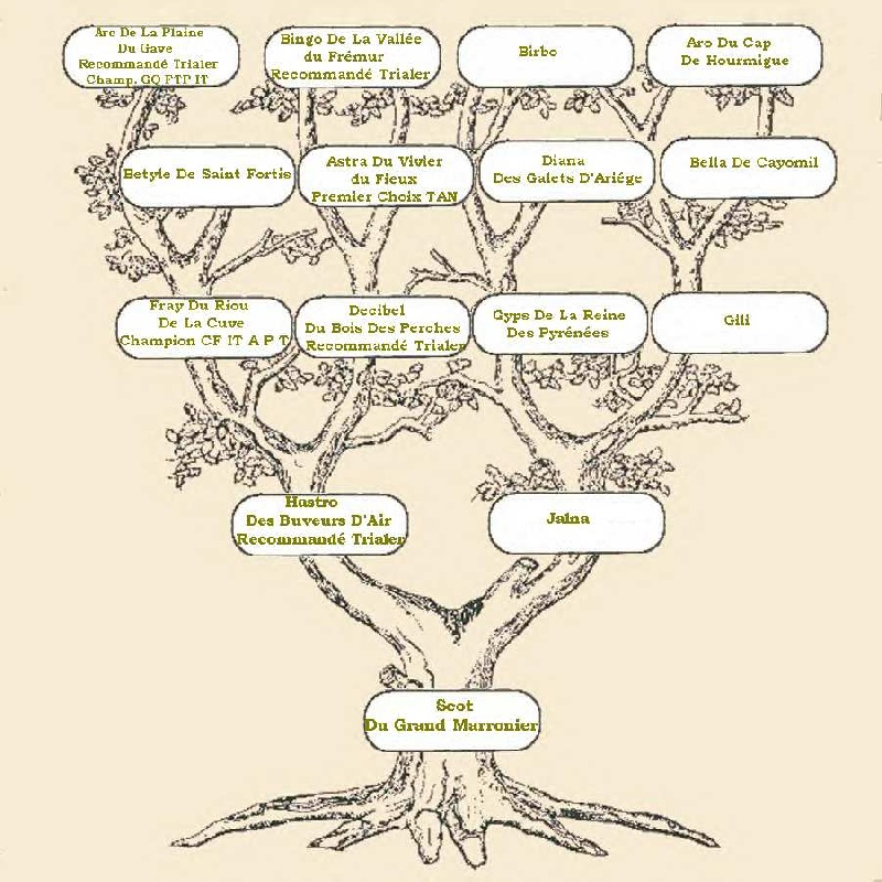 Publication : du Grand Marronier