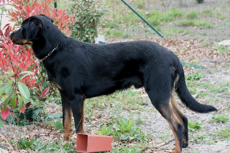 Publication : du domaine du Bois de Chartres