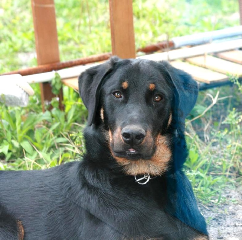 Publication : du domaine du Bois de Chartres