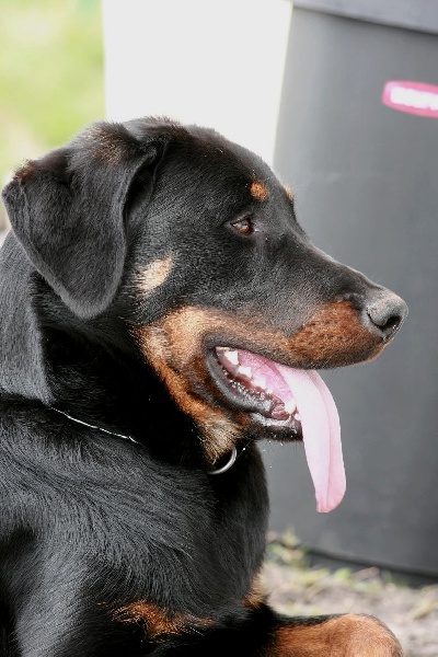 Publication : du domaine du Bois de Chartres