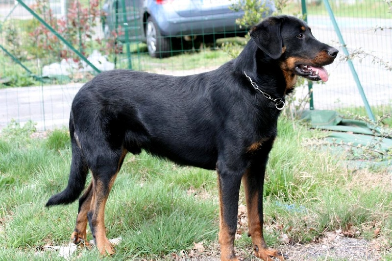 Publication : du domaine du Bois de Chartres