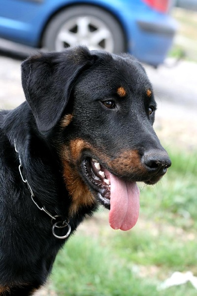 Publication : du domaine du Bois de Chartres