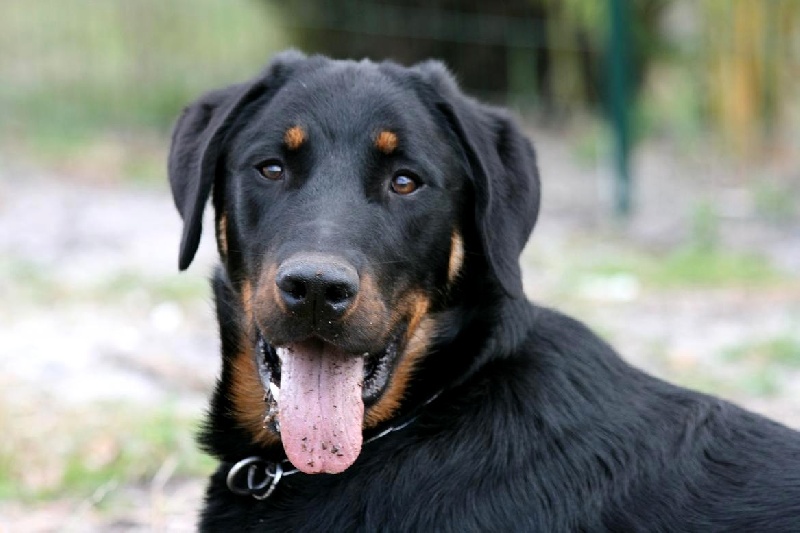 Publication : du domaine du Bois de Chartres