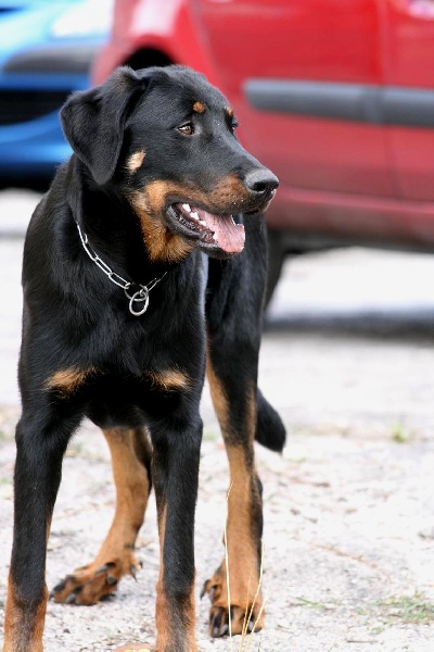 Publication : du domaine du Bois de Chartres