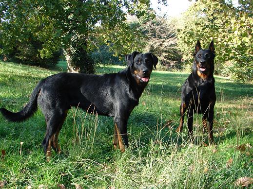 Publication : du domaine du Bois de Chartres Auteur : VERONIQUE