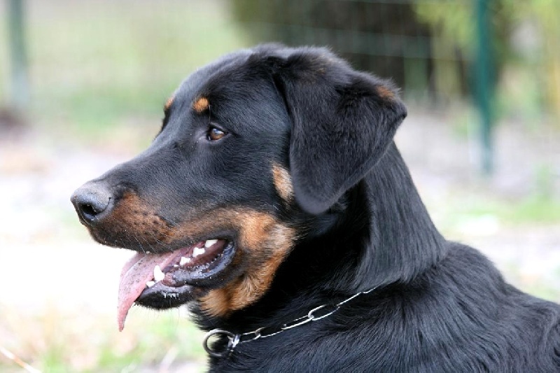 Publication : du domaine du Bois de Chartres