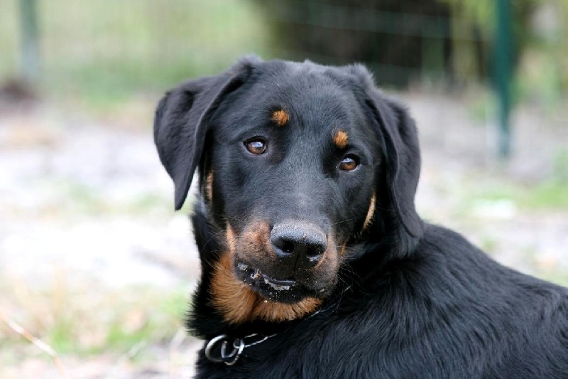 Publication : du domaine du Bois de Chartres