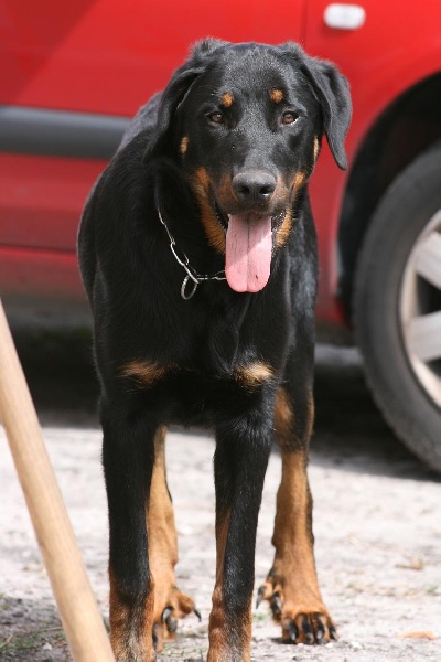 Publication : du domaine du Bois de Chartres
