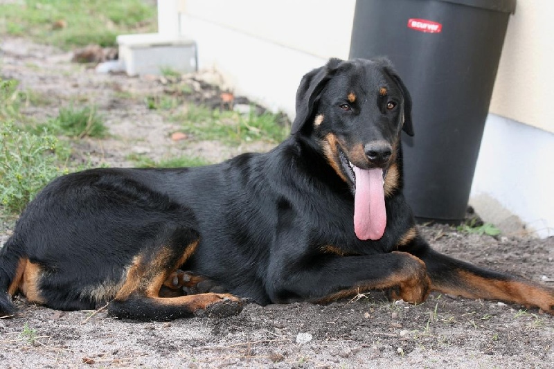 Publication : du domaine du Bois de Chartres