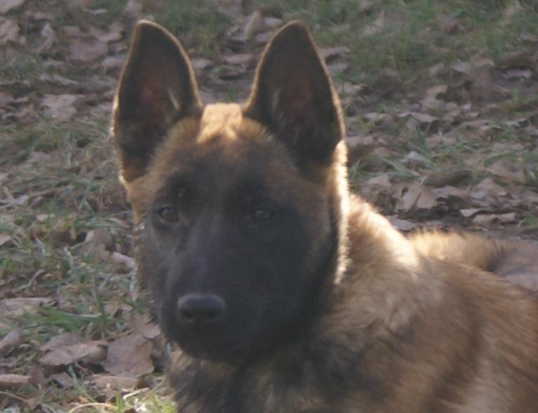 Publication : des Masques Noirs du Thigwen