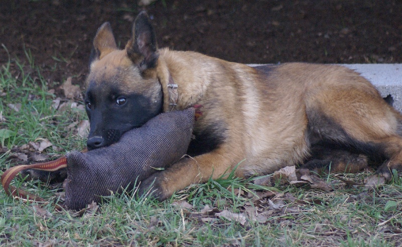 Publication : des Masques Noirs du Thigwen