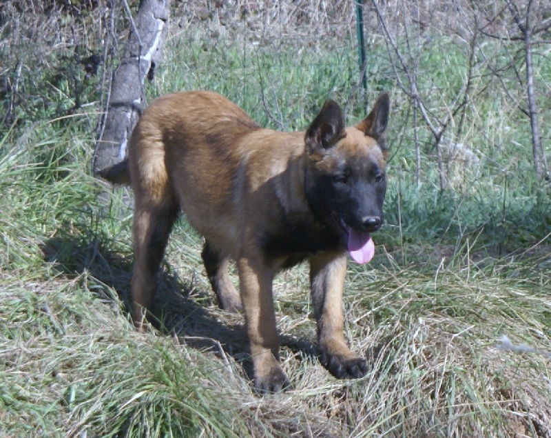 Publication : des Masques Noirs du Thigwen