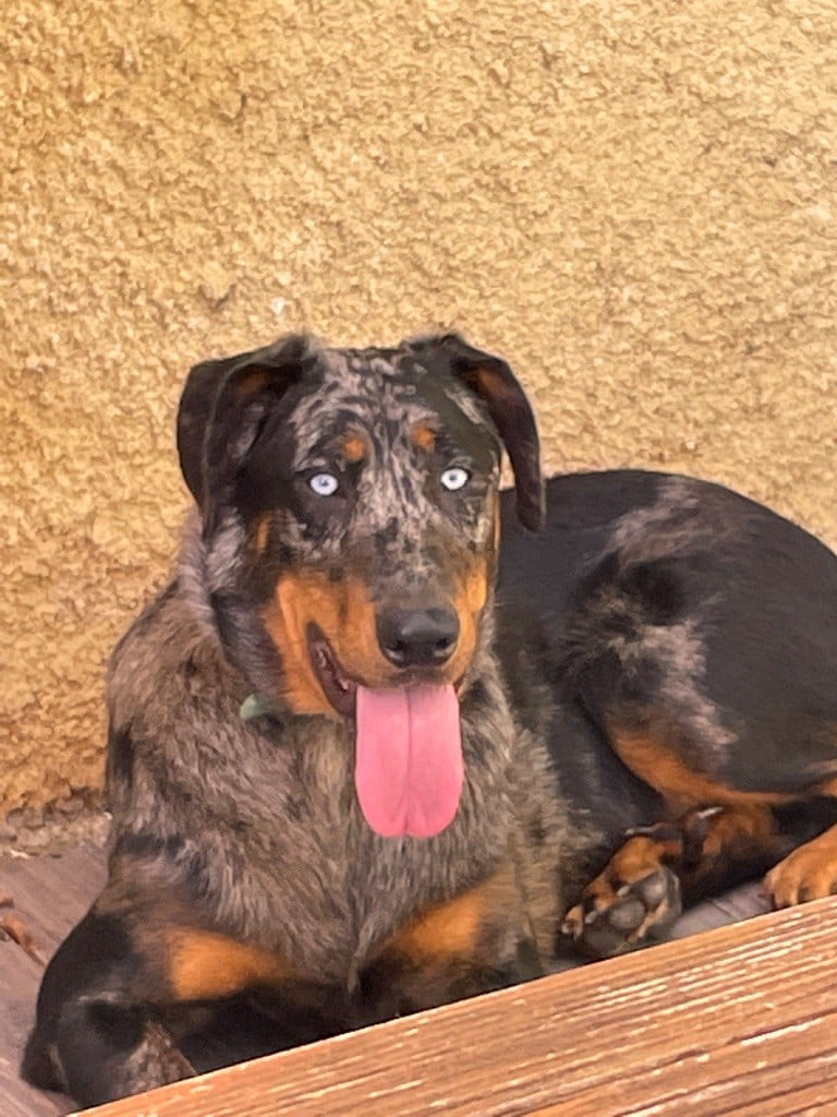 Unik blue sky Des Gardiens De Talbes