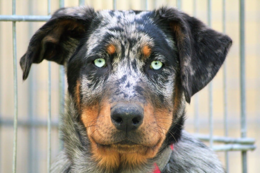 Unik blue sky Des Gardiens De Talbes