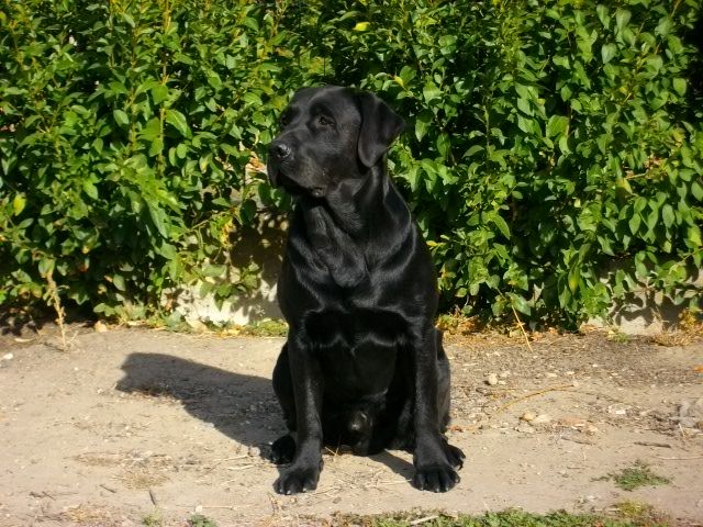 Publication : des Gorges de la Sioule Auteur : ELOISE PAYOT