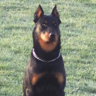 Publication : du serment des brumes Auteur : SL