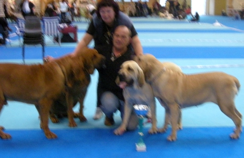 Eva longoria de cat'woman - COUP DE GUEULE /BIEN QU'HONNORABLE/JE N'AFFICHE PAS LE RESULTAT