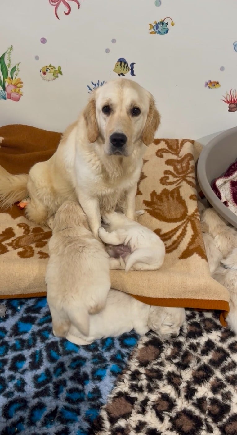 Publication : de la Gabrière