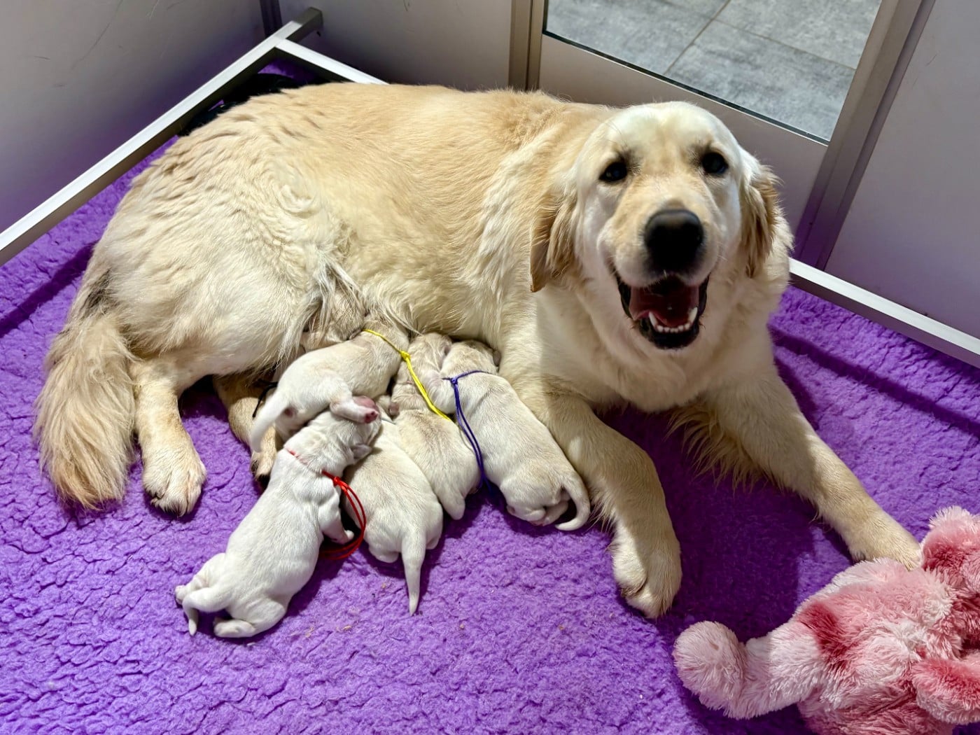 Publication : de la Gabrière