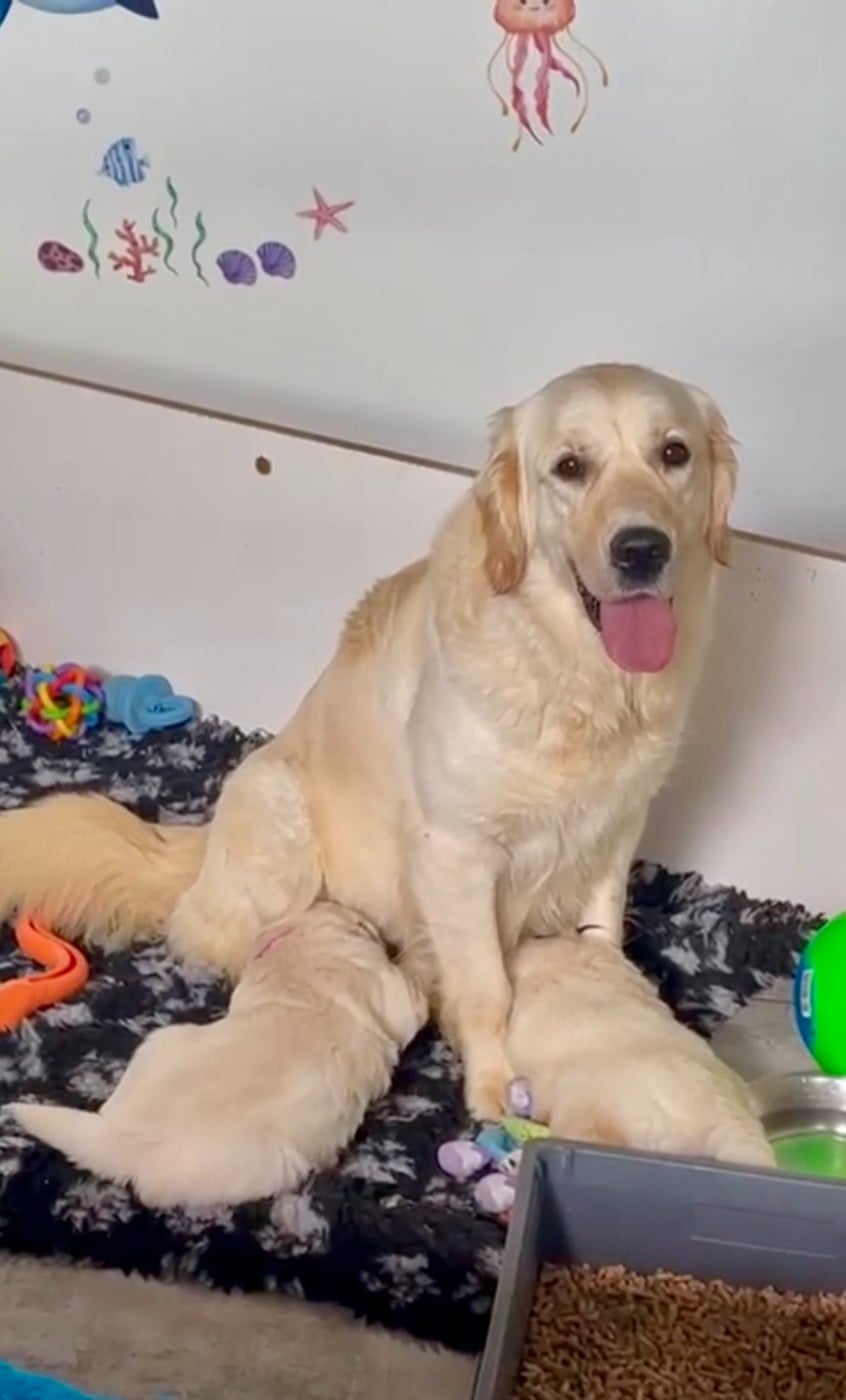 Publication : de la Gabrière