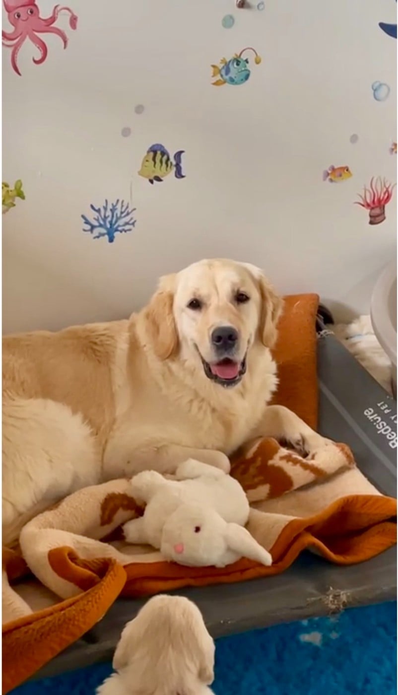 Publication : de la Gabrière