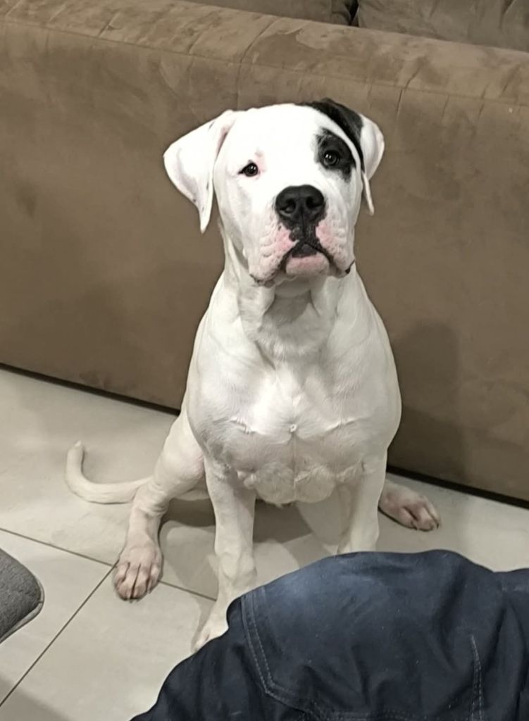 Agafay cerro de los condores