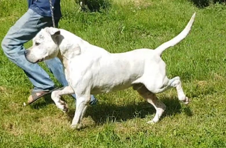 Publication : cerro de los condores