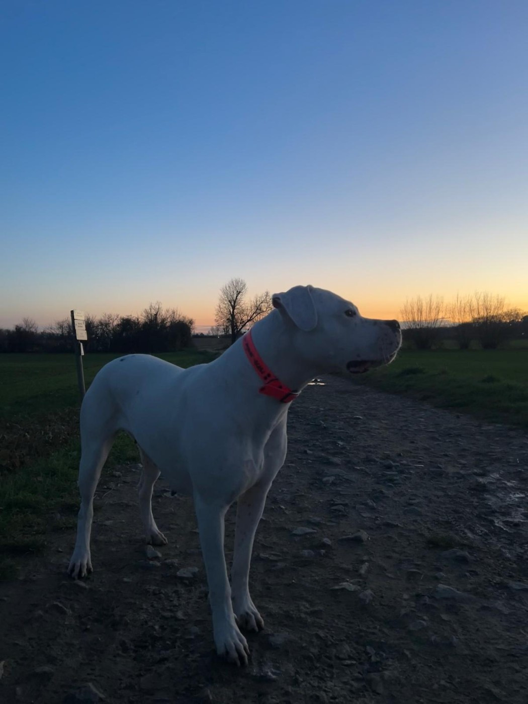 Vzagora cerro de los condores