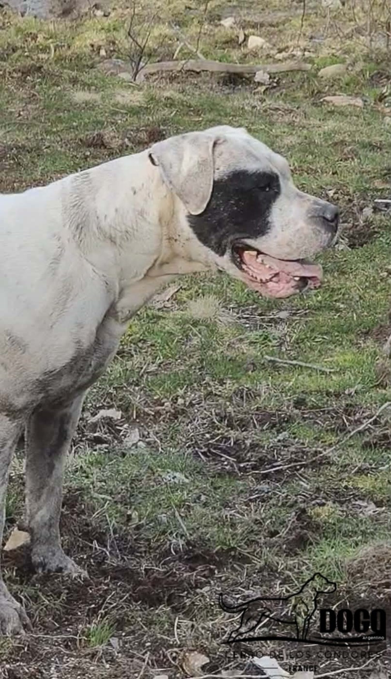 Uhaga madimasala de la casa del diablo