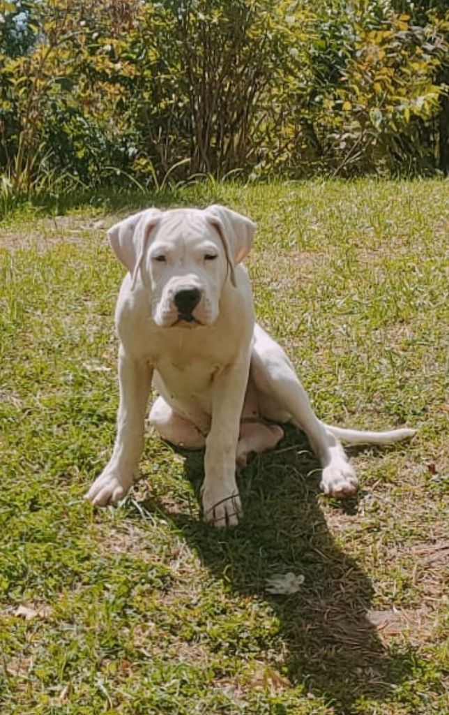 Asia cerro de los condores