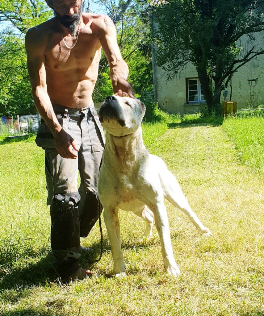 Publication : cerro de los condores