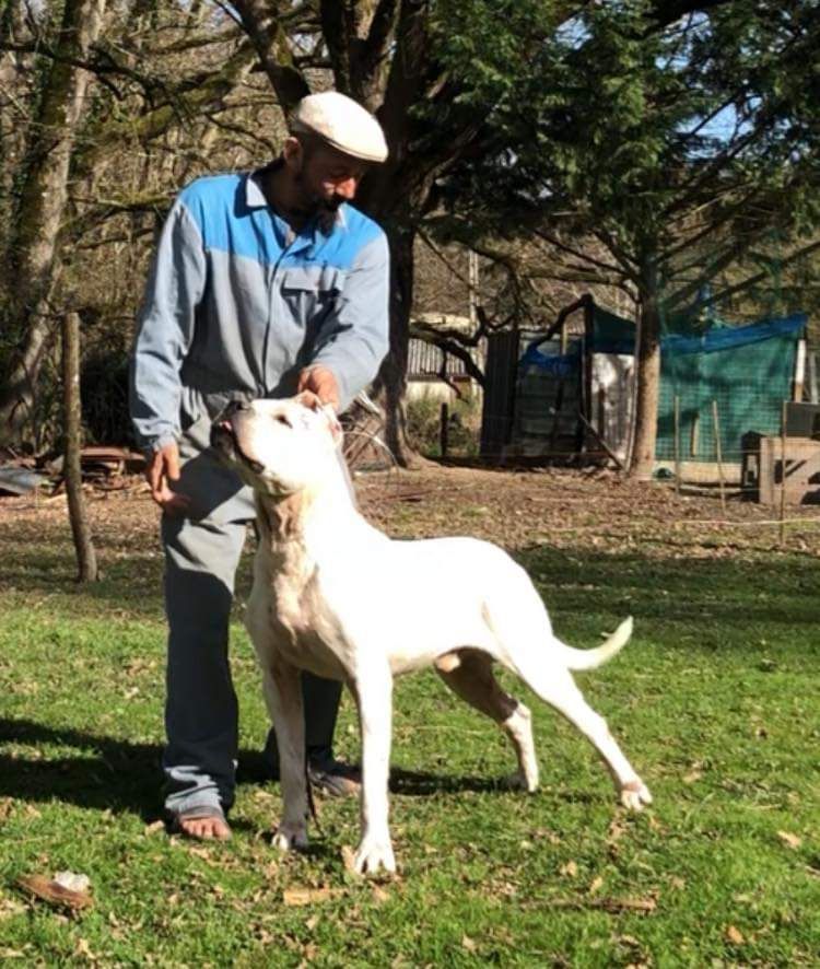 Publication : cerro de los condores