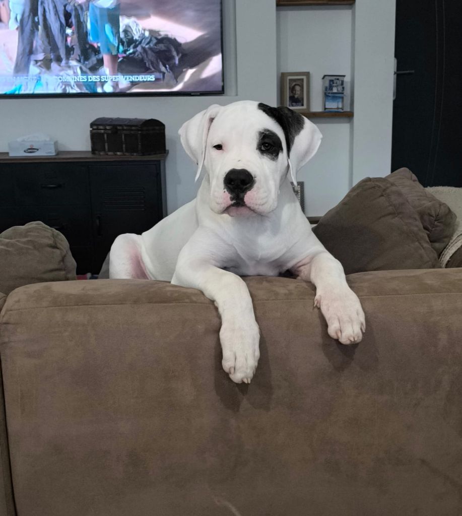 Agafay cerro de los condores