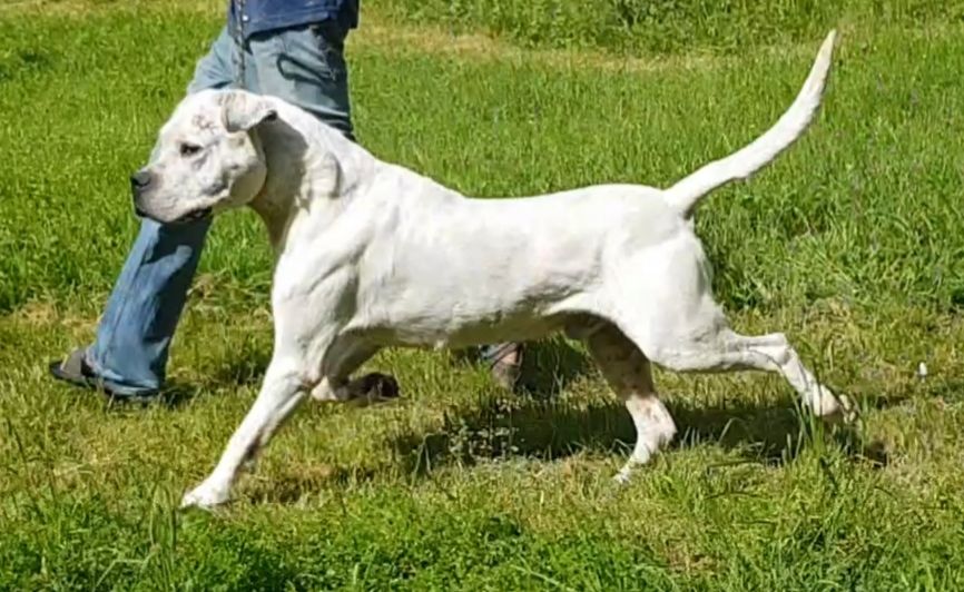 Publication : cerro de los condores