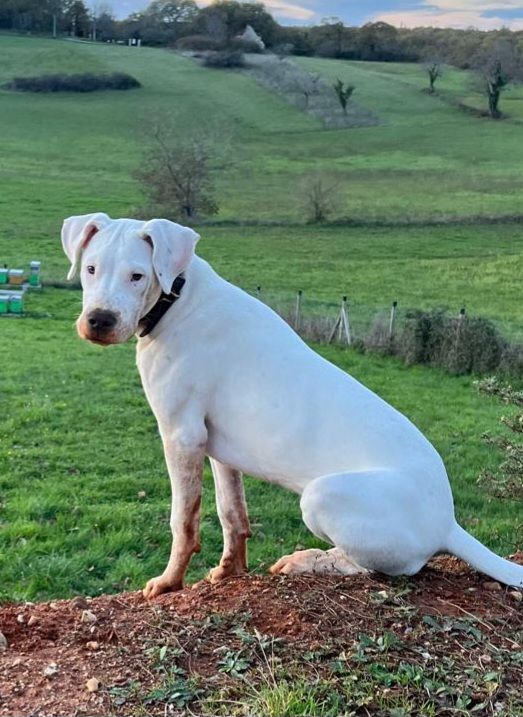 Aya cerro de los condores
