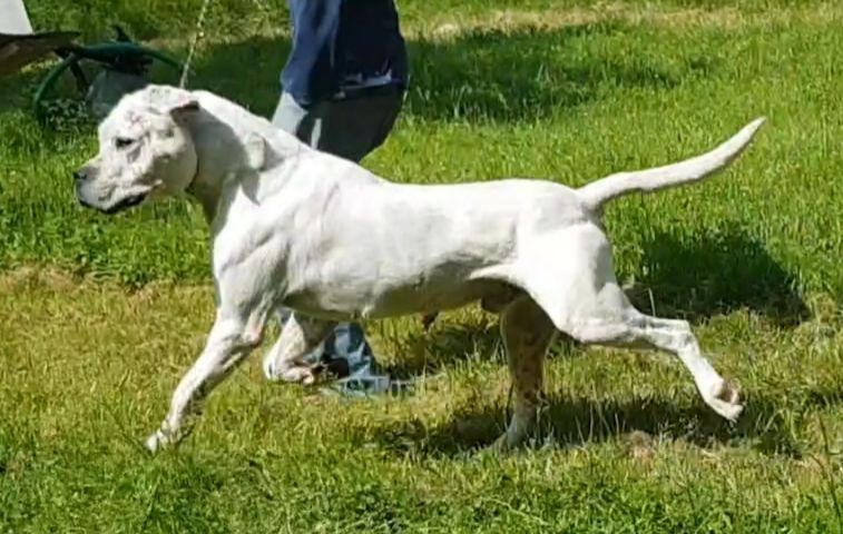 Publication : cerro de los condores