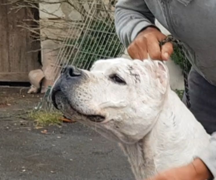 Publication : cerro de los condores