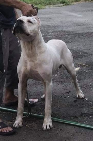 Publication : cerro de los condores