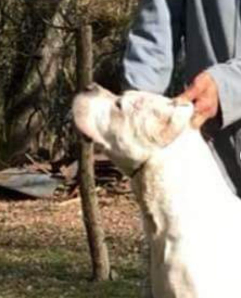 Publication : cerro de los condores