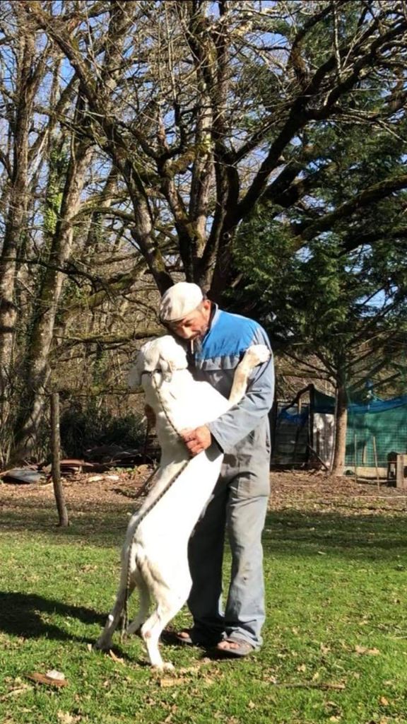 Publication : cerro de los condores