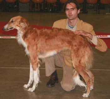 CH. dober-kopp Napvirag dite babouchka - 1ERE EXC - MEILLEURE JEUNE