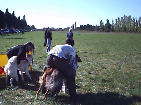 CH. dober-kopp Napvirag dite babouchka - 3eme EXC