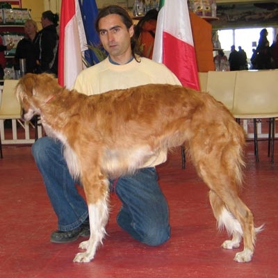 CH. dober-kopp Napvirag dite babouchka - 1 ERE EXC