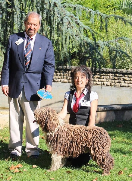 CH. Ch fary The Sourannya - 1er excll BOB (Meilleur de Race)