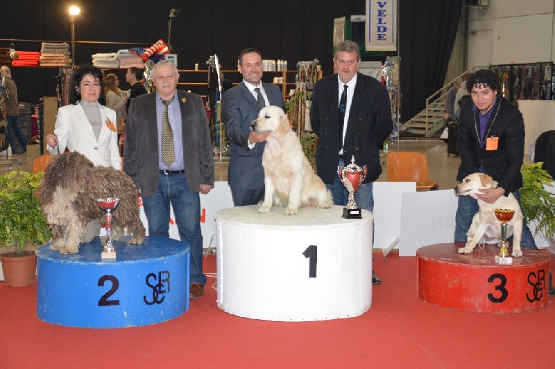 CH. Ch fary The Sourannya - 1er excll CACIB, 2em groupe 8