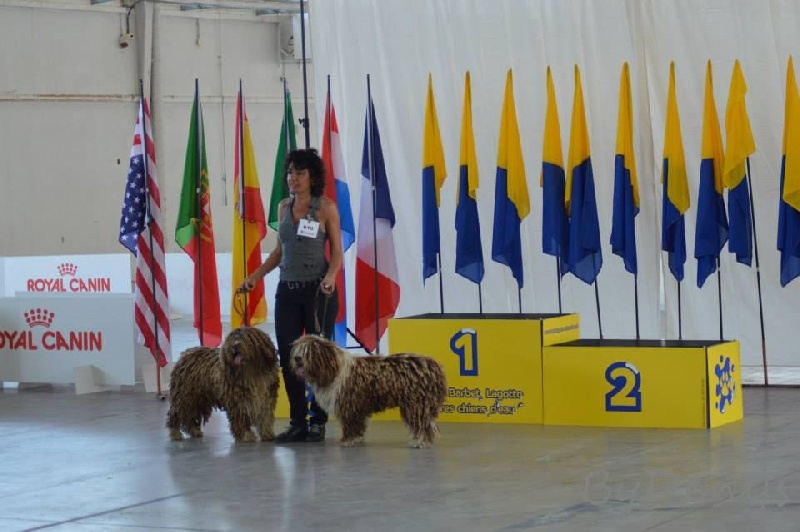 CH. Ch fary The Sourannya - Meilleur paire de la National d'elevage